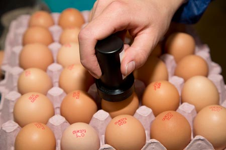 Each egg receives an individual stamp