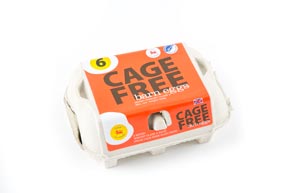 Cage Free Barn